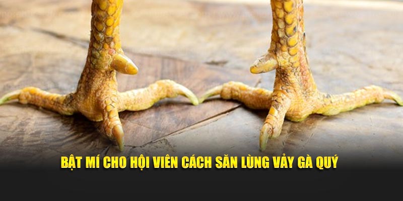 Bật mí cho hội viên cách săn lùng vảy gà quý