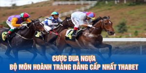 Cược Đua Ngựa - Bộ Môn Hoành Tráng Đẳng Cấp Nhất Thabet