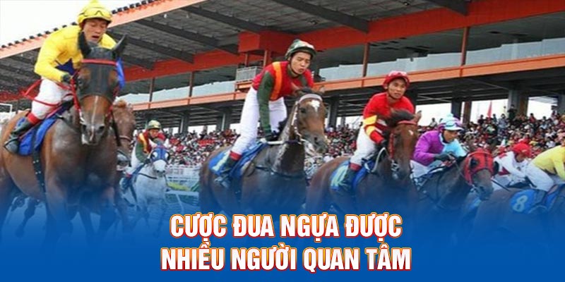 Cược đua ngựa được nhiều hội viên quan tâm