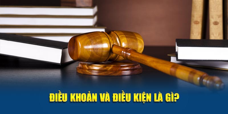 Điều khoản và điều kiện là gì?
