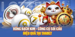 Rồng Bạch Kim - Công Cụ Soi Cầu Hiệu Quả Tại Thabet