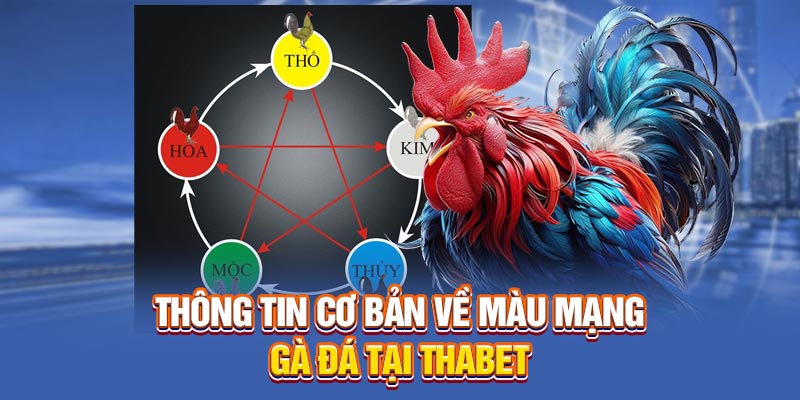 Thông tin cơ bản về màu mạng gà đá tại Thabet