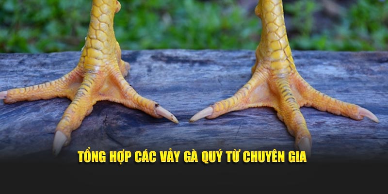 Tổng hợp các vảy gà quý từ chuyên gia